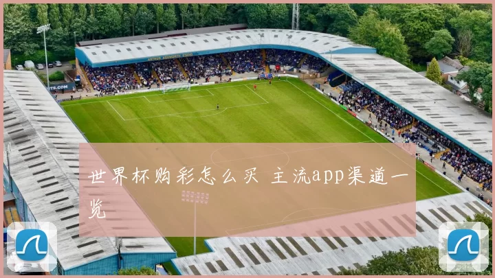 世界杯购彩怎么买 主流app渠道一览