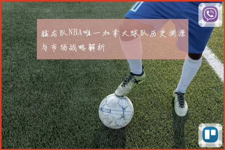 猛龙队NBA唯一加拿大球队历史渊源与市场战略解析