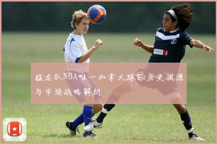 猛龙队NBA唯一加拿大球队历史渊源与市场战略解析