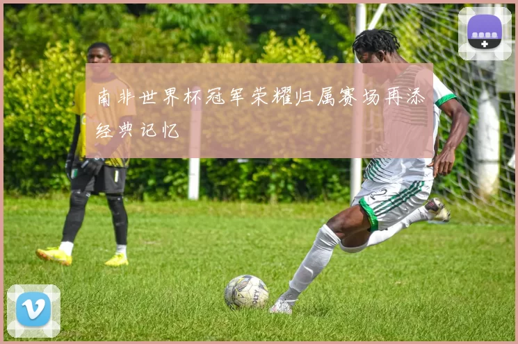 南非世界杯冠军荣耀归属赛场再添经典记忆