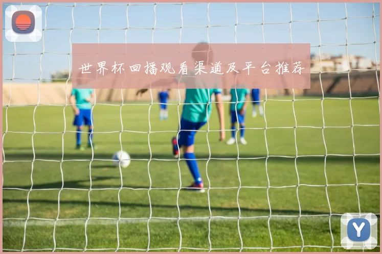 世界杯回播观看渠道及平台推荐