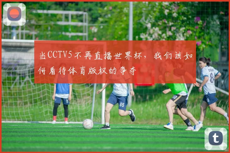 当CCTV5不再直播世界杯,我们该如何看待体育版权的争夺