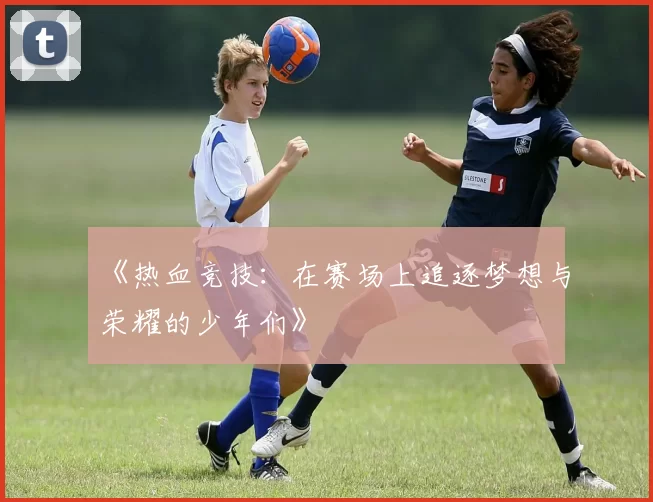 《热血竞技:在赛场上追逐梦想与荣耀的少年们》