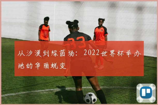 从沙漠到绿茵场：2022世界杯举办地的华丽蜕变
