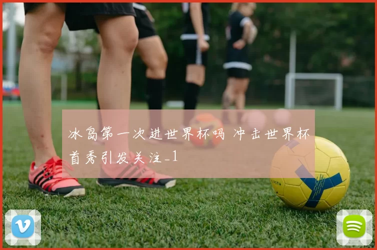 冰岛第一次进世界杯吗 冲击世界杯首秀引发关注_1
