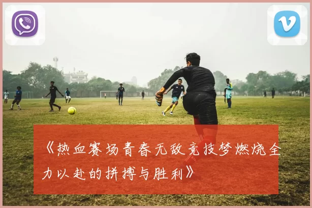 《热血赛场青春无敌竞技梦燃烧全力以赴的拼搏与胜利》