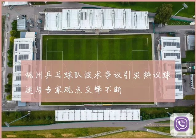 杭州乒乓球队技术争议引发热议球迷与专家观点交锋不断