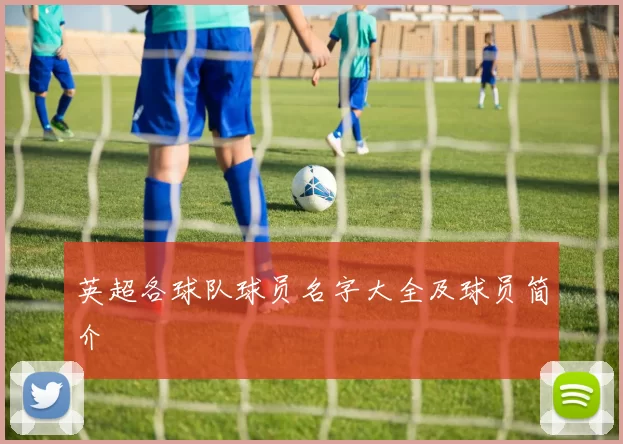 英超各球队球员名字大全及球员简介