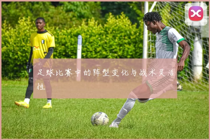 足球比赛中的阵型变化与战术灵活性
