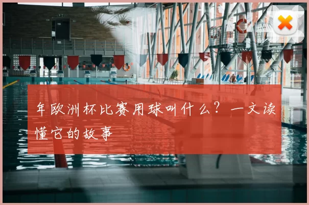 年欧洲杯比赛用球叫什么?一文读懂它的故事