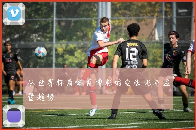 从世界杯看体育博彩的合法化与监管趋势