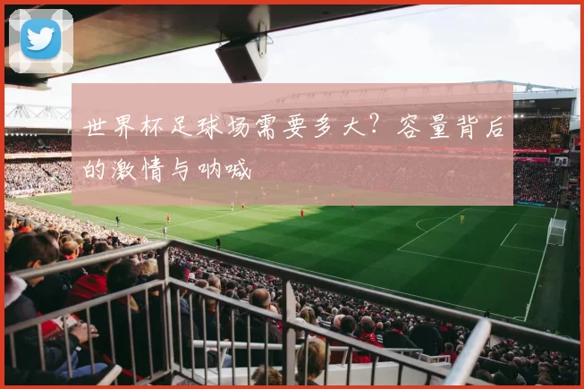世界杯足球场需要多大？容量背后的激情与呐喊