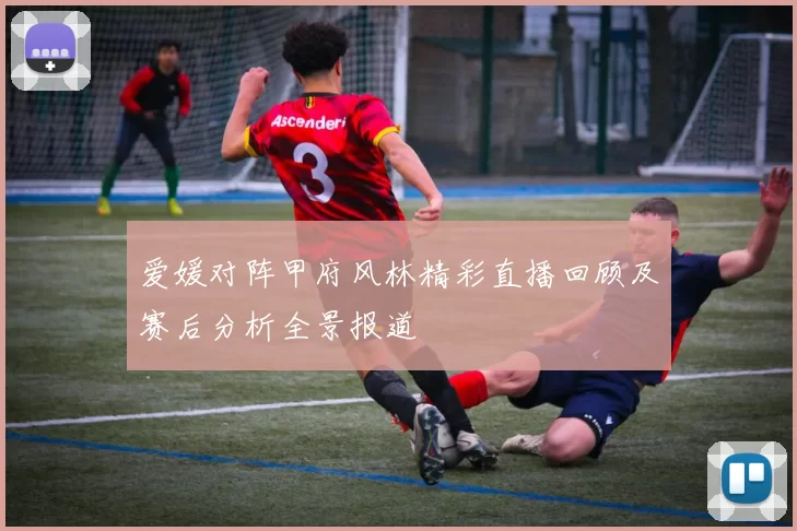 爱媛对阵甲府风林精彩直播回顾及赛后分析全景报道