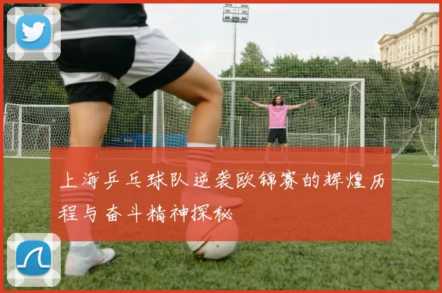 上海乒乓球队逆袭欧锦赛的辉煌历程与奋斗精神探秘