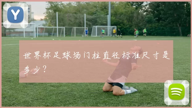 世界杯足球场门柱直径标准尺寸是多少？