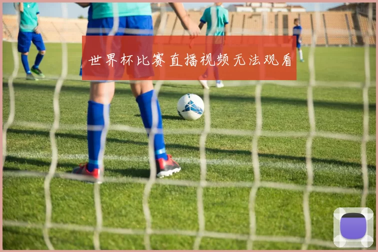 世界杯比赛直播视频无法观看