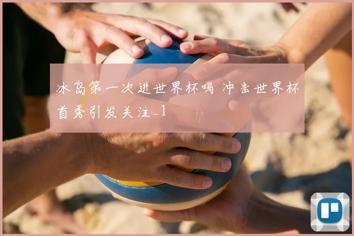 冰岛第一次进世界杯吗 冲击世界杯首秀引发关注_1