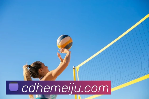 开云app平台生态图