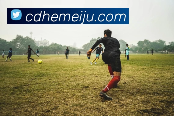 开云appAPP 封面图